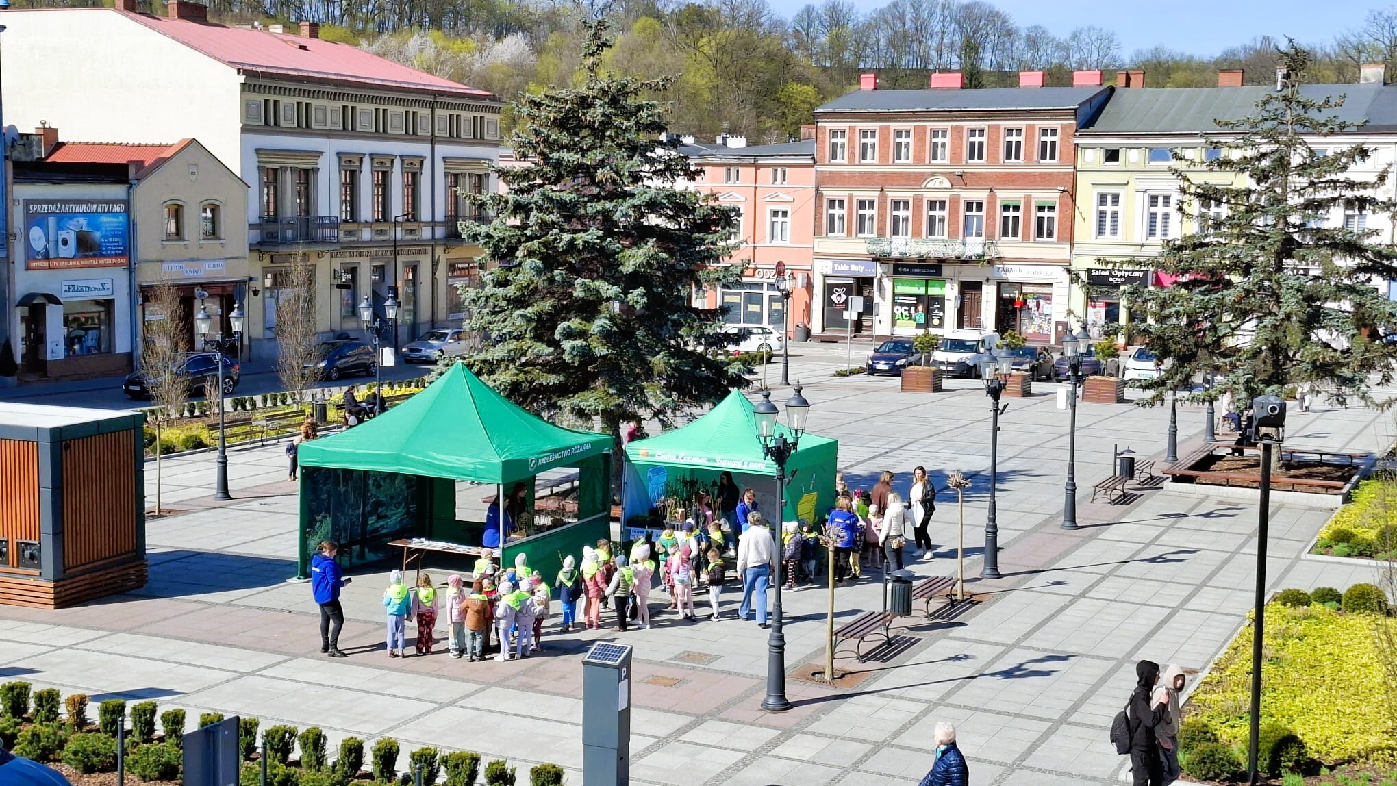 akcja drzewko