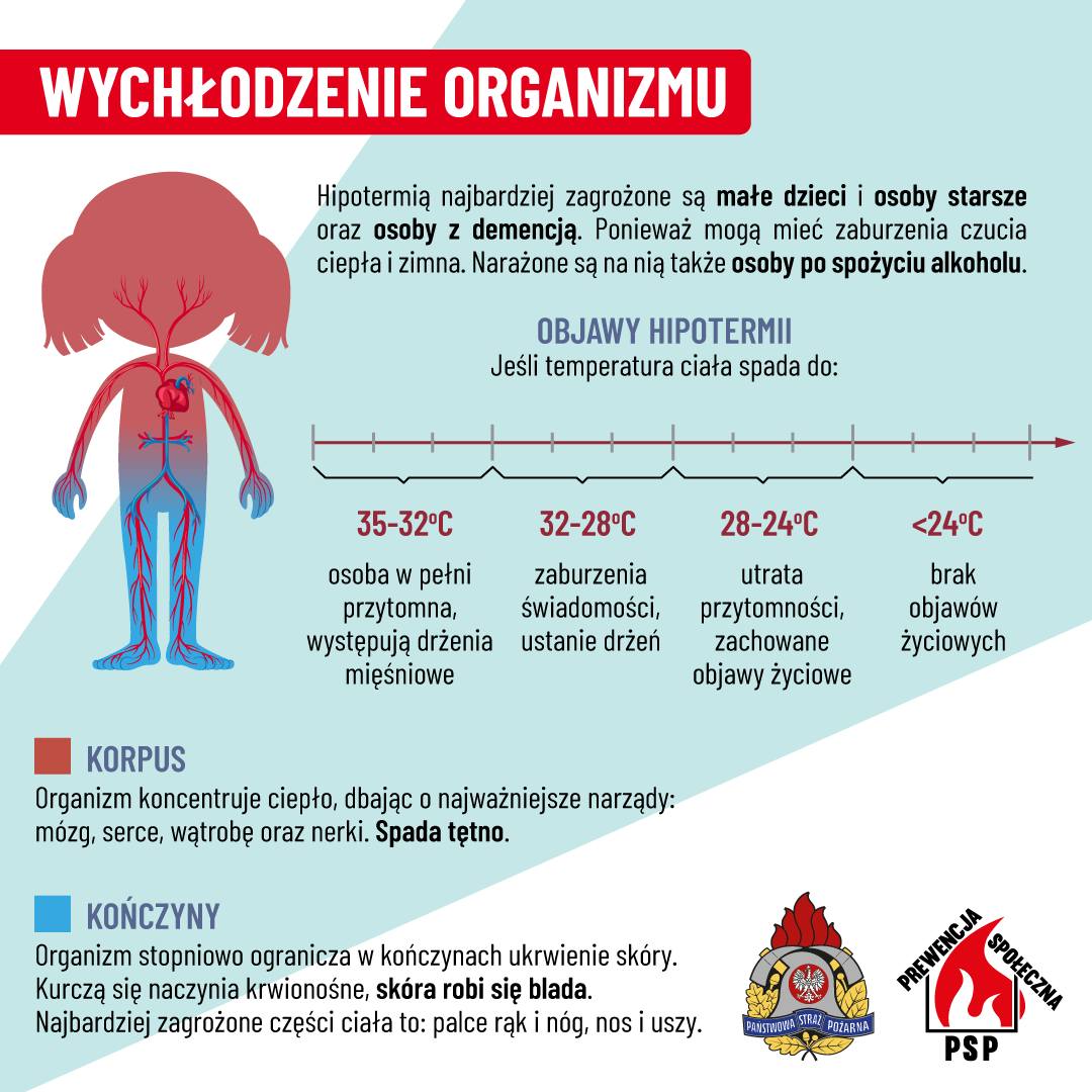 Wychlodzenie organizmu