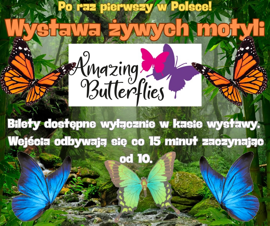 Wystawa zywych motyli 20240907 124625 0000