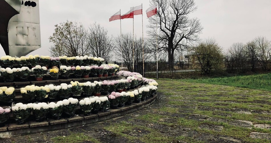 chryzantemy zdobia pomnik Bitwa z krzyzakami pod koronowem