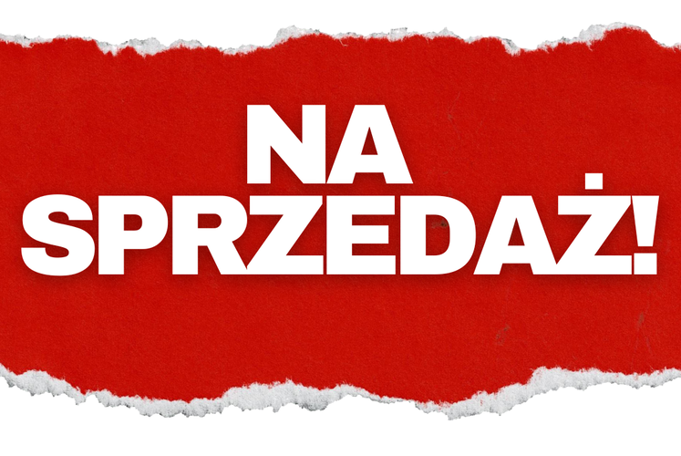 Grafika do linku