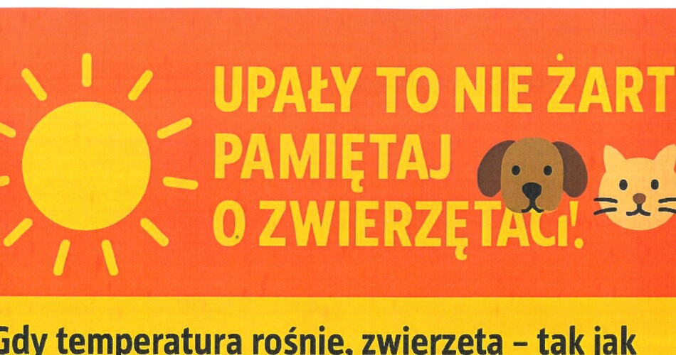 Grafika do linku