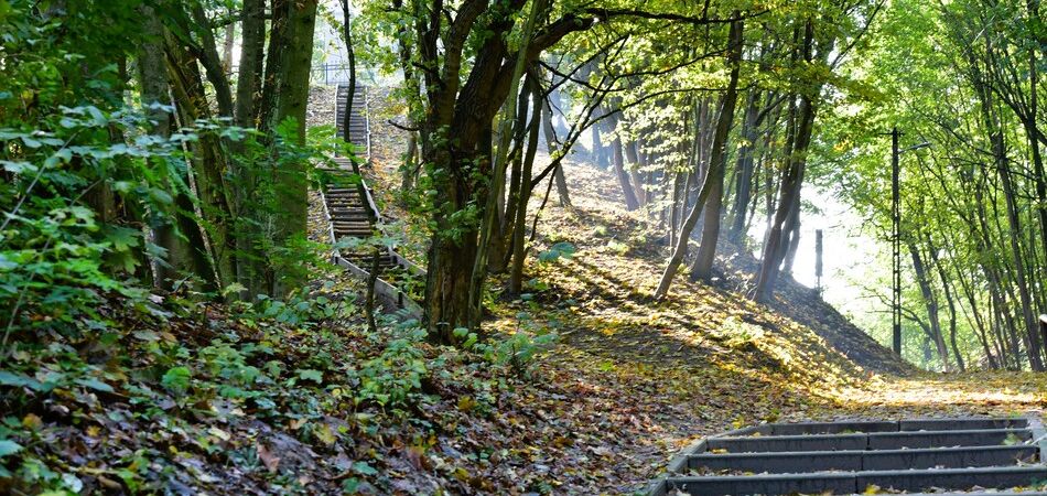 Zagospodarowanie terenu „Park Grabina w Koronowie” - umowa podpisana